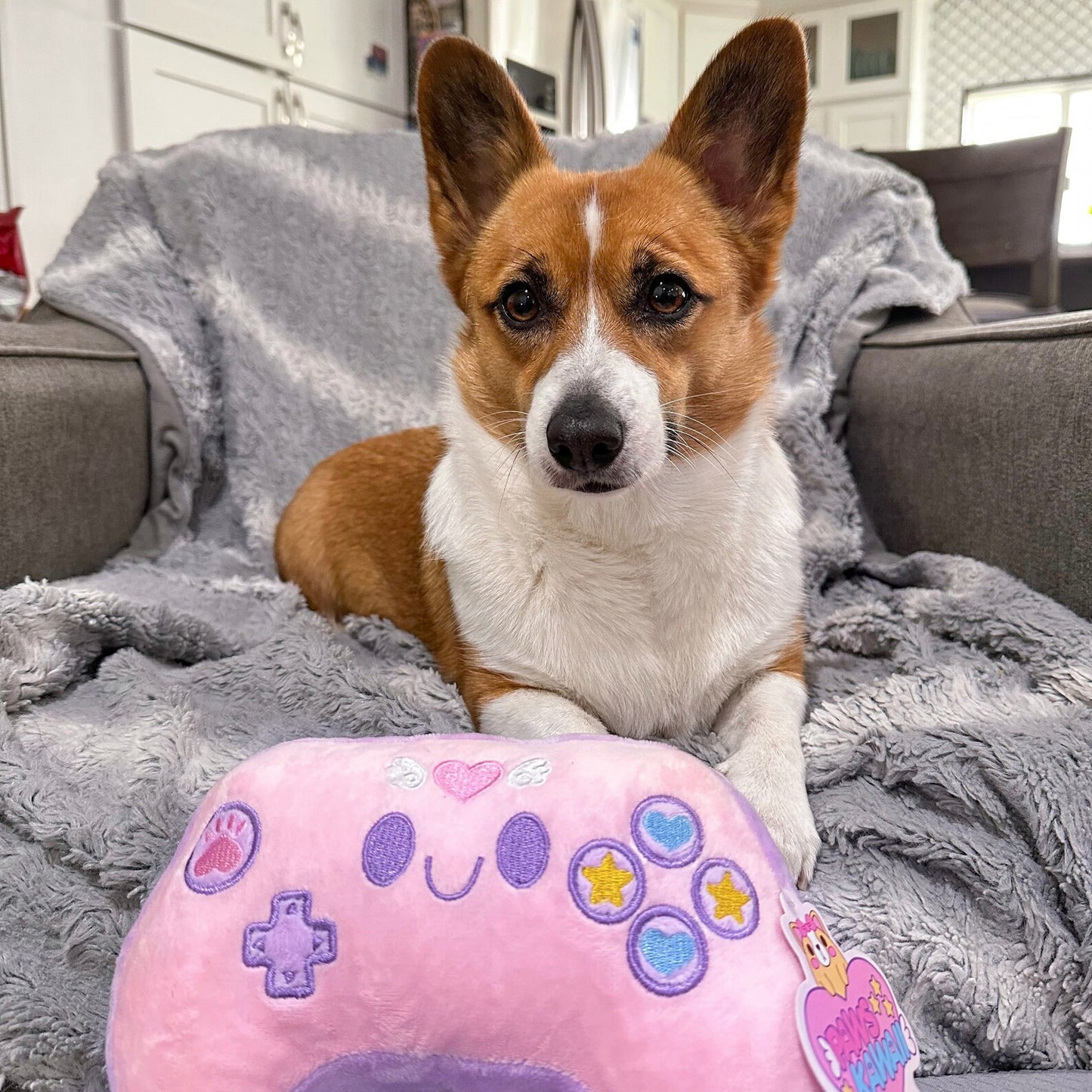 Kawaii Gamer Controller Toy