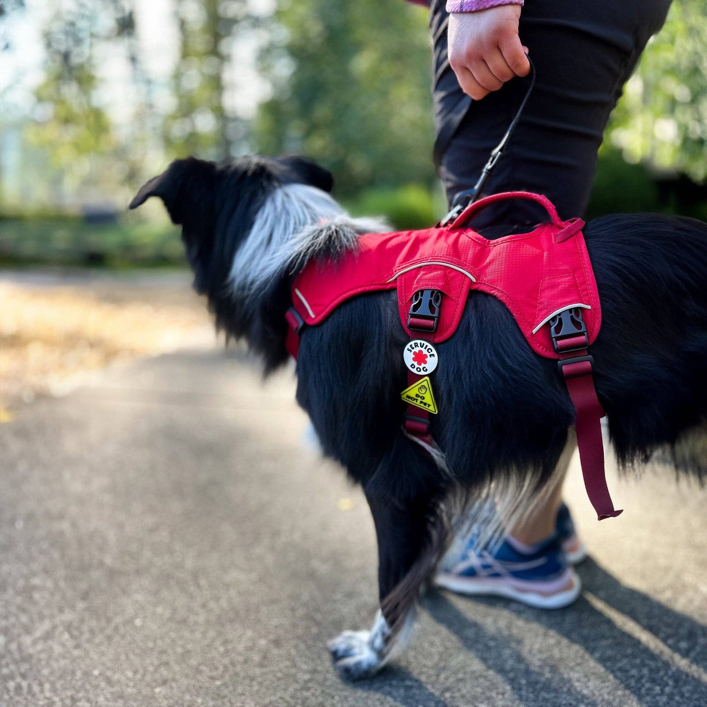 Service Dog Badge