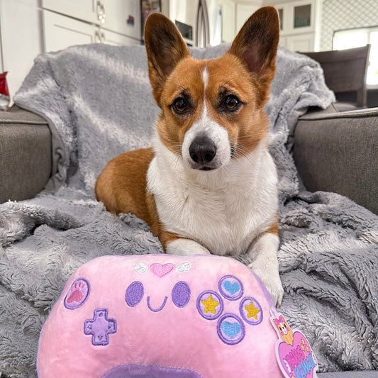 Kawaii Gamer Controller Toy